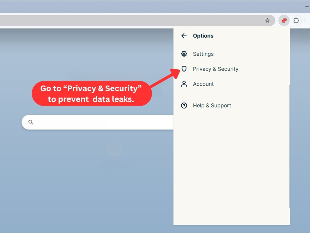 Settings for ExpressVPN Chrome extension